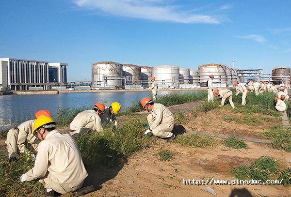 集團機關（guān）黨支部與公司團（tuán）委聯合開展誌願服務活動